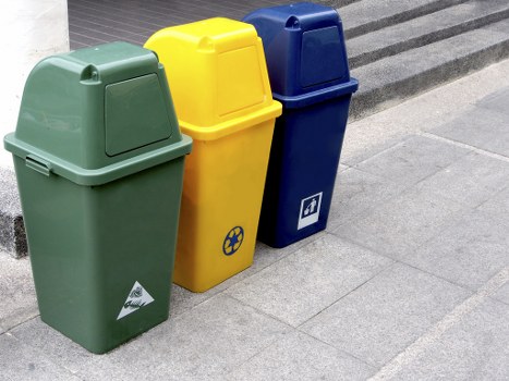 Recyclable garden waste being sorted