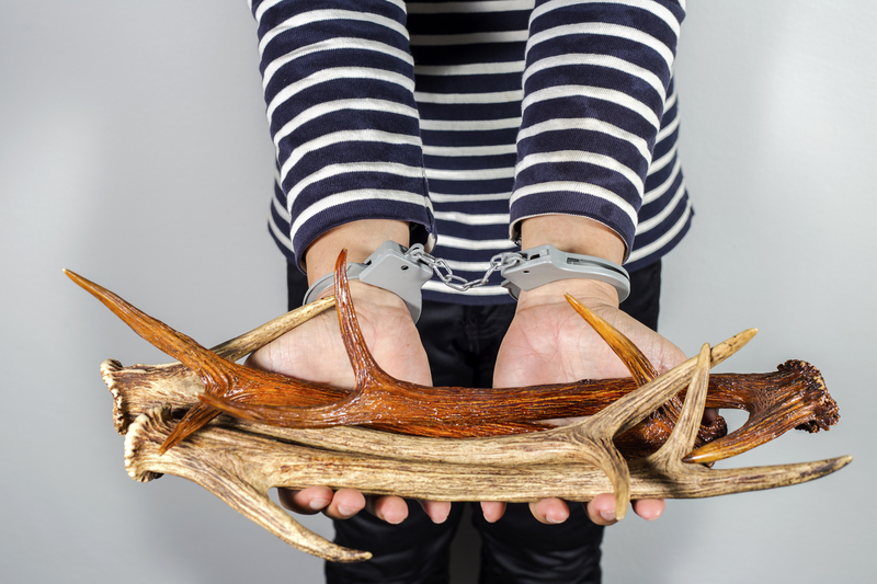 waste collection Home