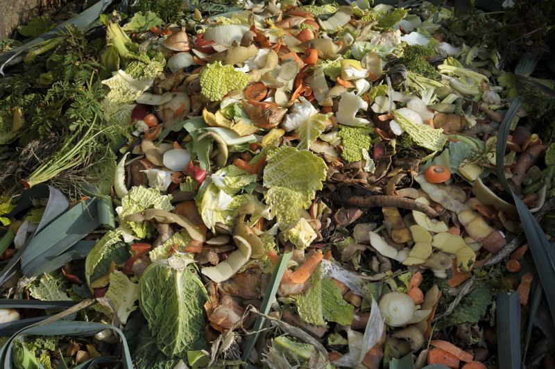Turning Wood Waste into Valuable Resources